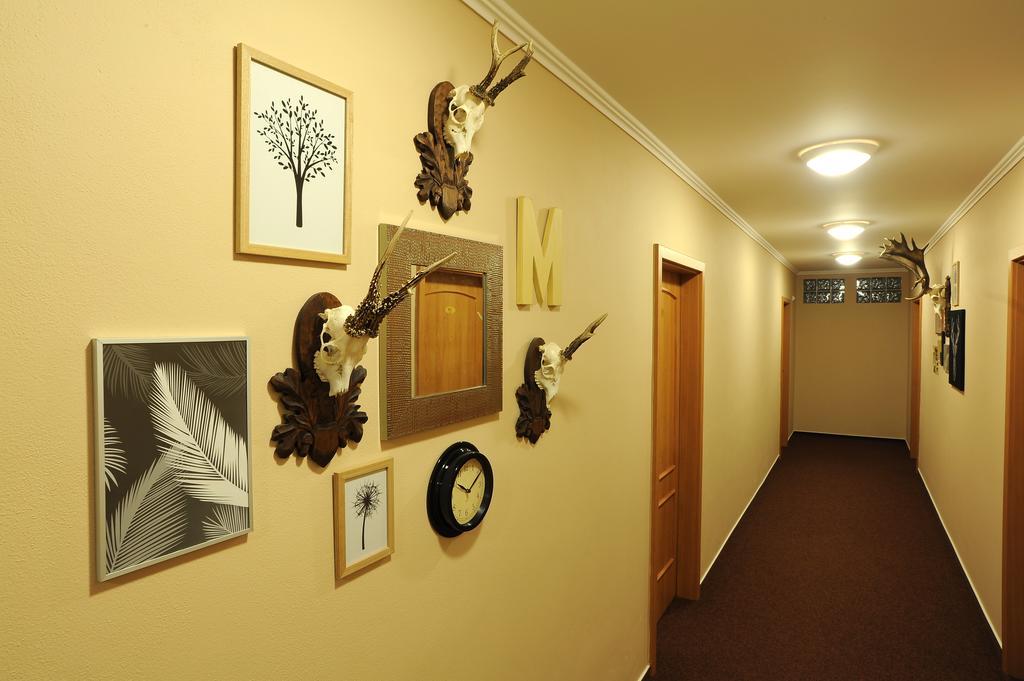 Wellness Penzion Jarmilka S Privatnim Wellness Bedřichov Екстериор снимка